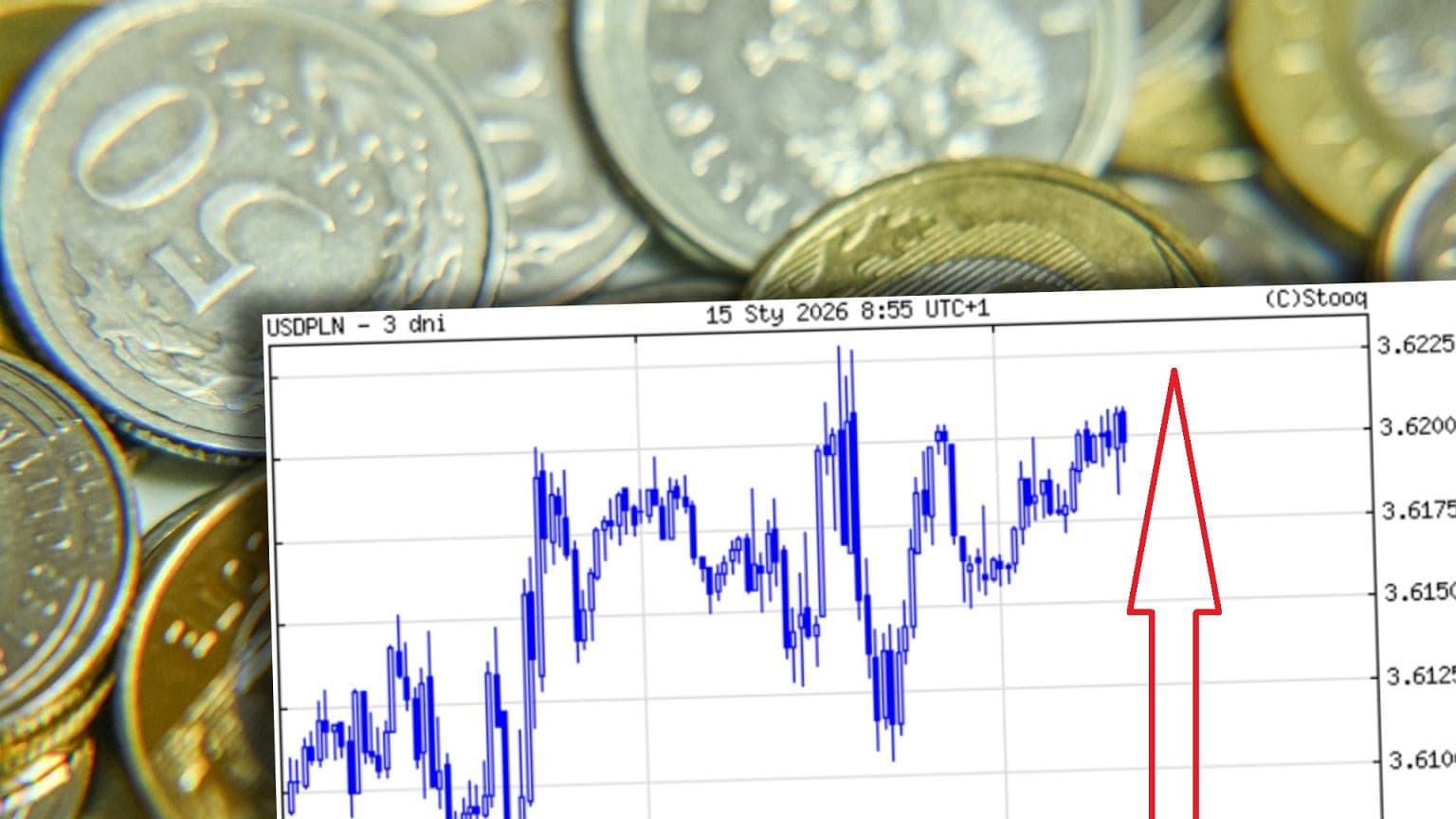 Złoty umacnia się po decyzji RPP. Glapiński kluczowy
