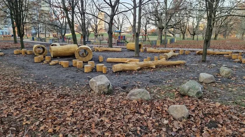 Pół miliona złotych na kłody i pieńki. Absurd na Targówku